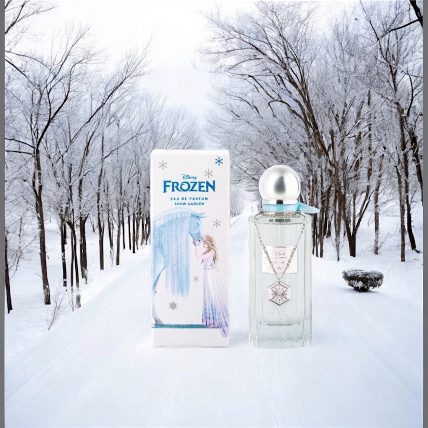 Frozen Snow Garden